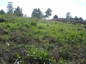 2406 m² Land available in Manderston