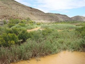 61 ha Land available in Vanwyksdorp