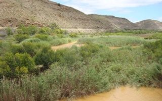 61 ha Land available in Vanwyksdorp