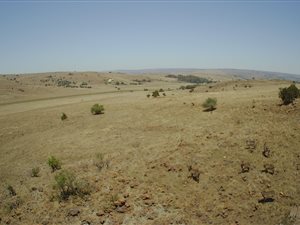 963 ha Farm in Krugersdorp Central