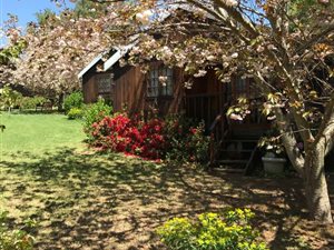 6 Bed House in Rosetta