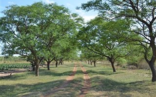 12 ha Farm in Vaalwater