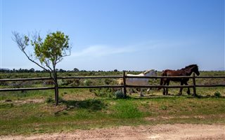 1000 m² Land available in Bot River