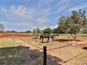 2.2 ha Farm in Rynoue