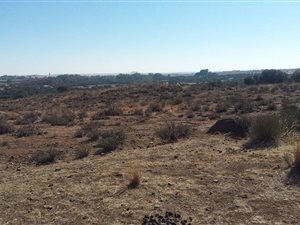 7 ha Land available in Rayton