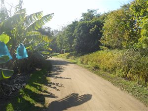 2441 m² Land available in Southbroom