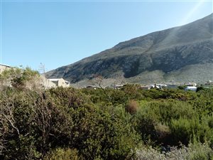 880 m² Land available in Bettys Bay