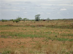 17.1 ha Land available in Onderstepoort