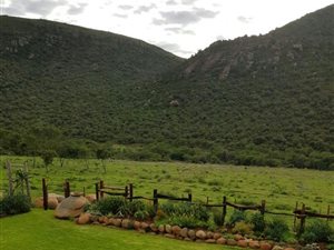 760 ha Farm in Somerset East