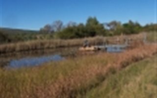 358 ha Farm in Alma