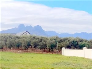 648 m² Land available in Croydon Olive Estate
