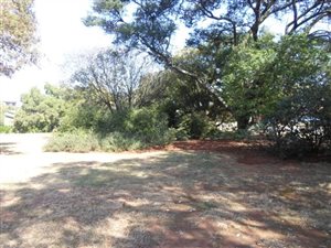 1.1 ha Land available in Die Hoewes
