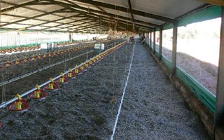 42.9 ha Farm in Zeerust