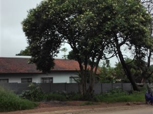 350 m² Commercial space in Louis Trichardt