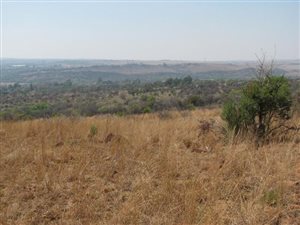 30 ha Farm in Boschkop
