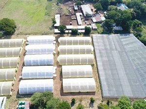 11 ha Farm in Waterval