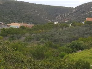 1017 m² Land available in Island View