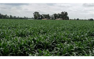 138 ha Farm in Klerksdorp