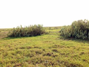 424 m² Land available in Hartenbos