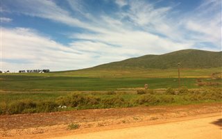 1493 m² Land available in Koringberg