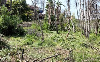 827 m² Land available in Paradise