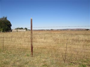 2082 m² Land available in Heidelberg AH