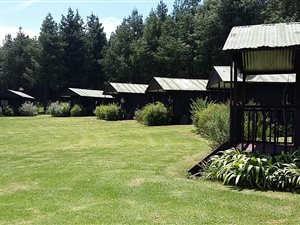 12.1 ha Farm in Underberg