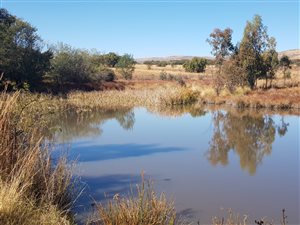 48 ha Farm in Buffelspoort