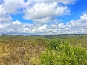 300 m² Land available in Gondwana Game Reserve