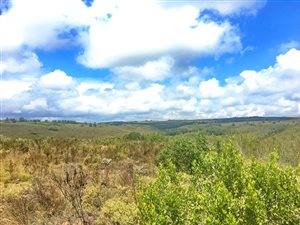 300 m² Land available in Gondwana Game Reserve
