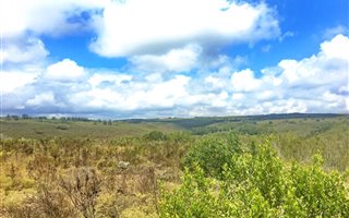 300 m² Land available in Gondwana Game Reserve
