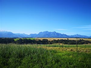 56 m² Farm in George Central