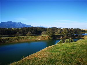 56 ha Farm in George Central