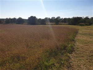 815 m² Land available in Zambezi Country Estate