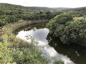 215 ha Farm in Bathurst and Surrounds
