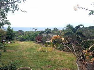 3.1 ha Smallholding in Hibberdene