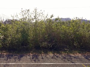 1263 m² Land available in St Michaels on Sea