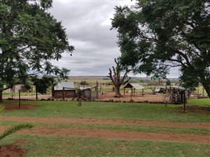 10 ha Farm in Witbank Central
