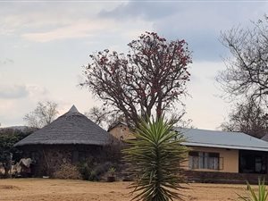Farm in Modimole (Nylstroom)