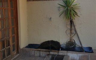3 Bedroom House in Rayton
