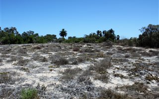 376 m² Land available in Shelley Point