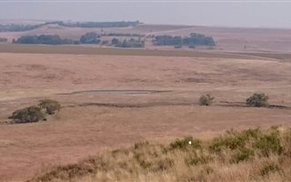 847 ha Farm in Lindley