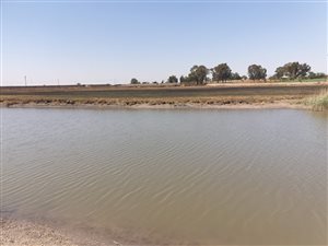 32 ha Farm in Lilyvale