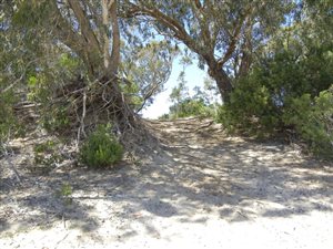 541 m² Land available in Summerstrand