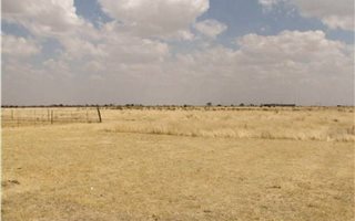 10.9 ha Smallholding in Koppies