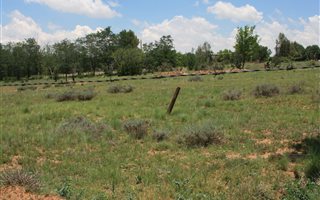 2980 m² Land available in Rosendal