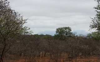 4900 m² Land available in Hoedspruit Wildlife Estate