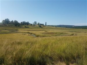 9 ha Farm in Greytown