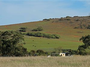 1240 m² Land available in Clara Anna Fontein Estate