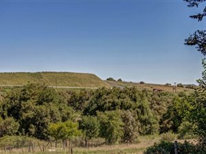 8.5 ha Farm in Lanseria and surrounds